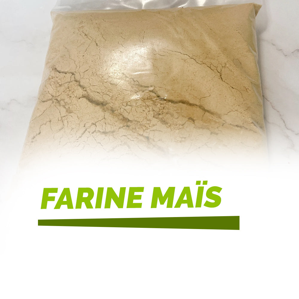 Corn Flour haitien